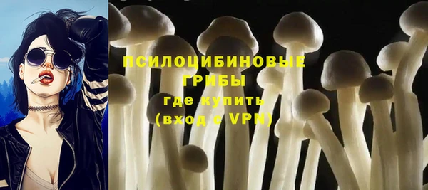 первитин Нязепетровск