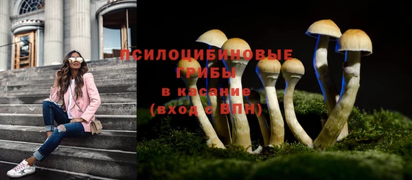 круглые Нягань