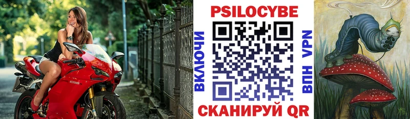 Псилоцибиновые грибы мицелий Жуков