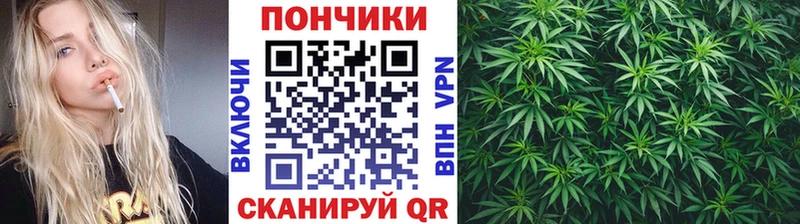 Марихуана THC 21%  Жуков 